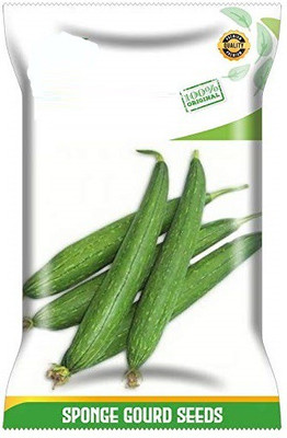 VibeX XLR-23 - Hybrid Sponge Gourd - (900 Seeds) Seed(900 per packet)