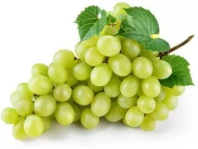 Chalisa Grapes, Green Grapes Seed(55 per packet)