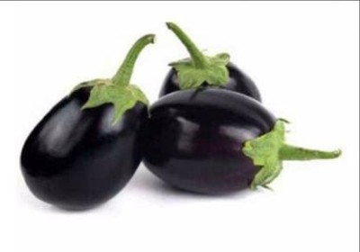 VibeX ® RXI-328 F1 HYBRID BRINJAL CHU CHU/ BAINGAN SEEDS Seed(200 per packet)