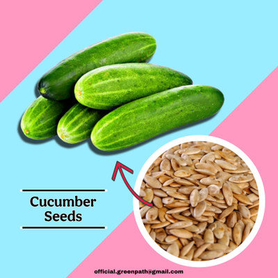 Greenpath Cucumber, Khira Seed(105 per packet)