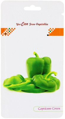CYBEXIS Capsicum Green Hybrid Seeds Seed(600 per packet)