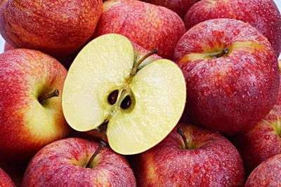 Aywal HYBRID FRESH RED APPLE Seed(5 per packet)