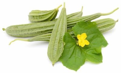 KNESSiN Vegetable Seed Ridge Gourd Seeds Beerakaya Peechinga-[10gm] Seed(50 per packet)