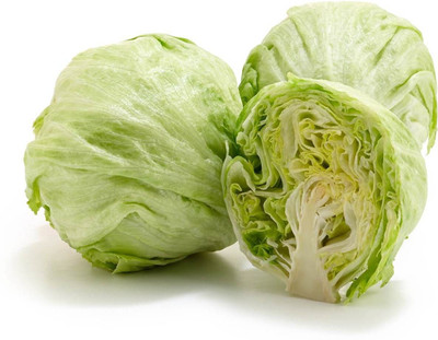 Quentova Iceberg Lettuce-NST-22L Seed(250 per packet)