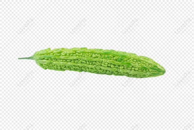 Paudhaa F1 BEST QUALITY BITTER GOURD SEEDS Seed(15 per packet)