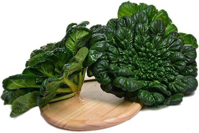 CYBEXIS Brassia Campestris Seeds Organic Pak Choi 200 Seeds Seed(200 per packet)
