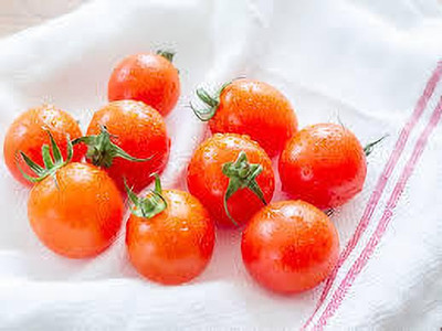 Oliver HYBRID F1 QUALITY TOMATO SEEDS Seed(60 per packet)