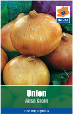KNESSiN Onion Ailsa Craig Seed(200 per packet)