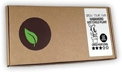 CRGO GERMINATION KIT Seed(32 per packet)