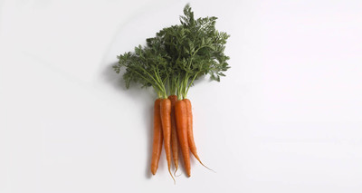 SeedHaven Carrot fresh organic seeds Seed(120 per packet)
