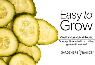 Qualtivate HYB-1A Lemon Cucumber Seeds Seed(300 per packet)