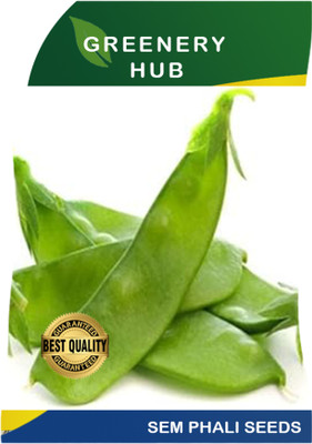 Greenery Hub Sem Phali Seeds - Grow Nutritious, Tasty Beans in Your Garden! Seed(100 per packet)