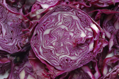 Aywal Purple Cabbage Seed(270 per packet)