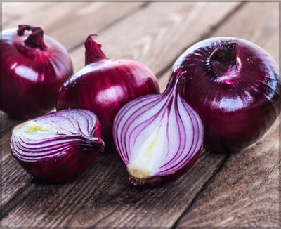 WILLVINE SCI -XII Black Onion/Kale Pyaz ke Beej [50g] Seed(30000 per packet)