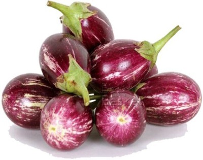 Avysa Brinjal Seed(100 per packet)