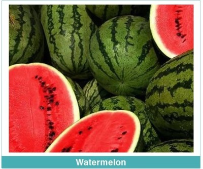 Quentova Sweet Watermelons Fruit तरबूज के बीज-CIAR-22C Seed(100 per packet)