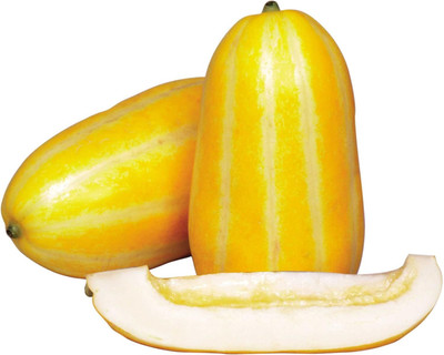 Qualtivate GBPT-7A Musk Melon - Ginkaku - Hybrid Seed(200 per packet)