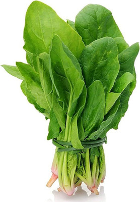 BDSresolve palak seeds for planting/palak seeds 800 Seed(800 per packet)
