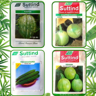 CYBEXIS Combo Pack Of 4 Green Vegetable Seeds Seed(10 g)