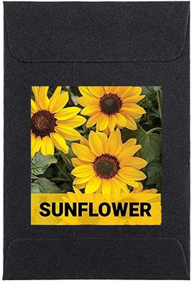 CYBEXIS Sunflower Flower Seeds100 Seeds Seed(100 per packet)