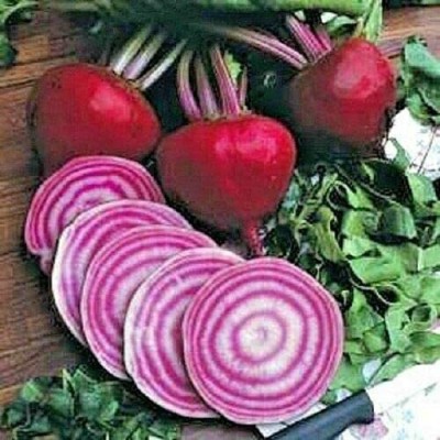 CYBEXIS Seeds of Vegetable Beetroot500 Seeds Seed(500 per packet)