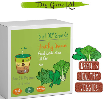 CRGO SEEDS KIT Seed(30 per packet)