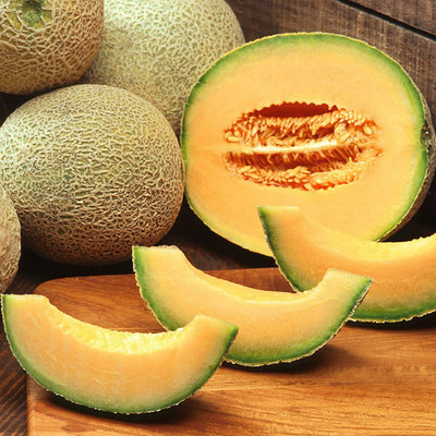 CYBEXIS Cantaloupe Musk Melon Seeds400 Seeds Seed(400 per packet)