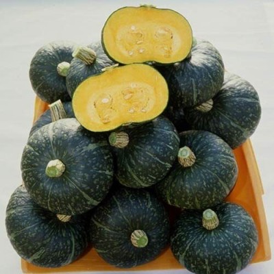 Aywal Pumpkin Big Vegetable Hybrid Seed(75 per packet)