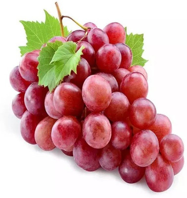 PASCLE Red Globe, Flame Grapes Seed(100 per packet)