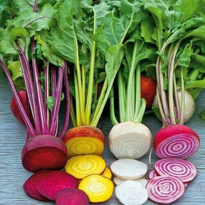 CRGO TURNIP , SHALGAM Seed(225 per packet)