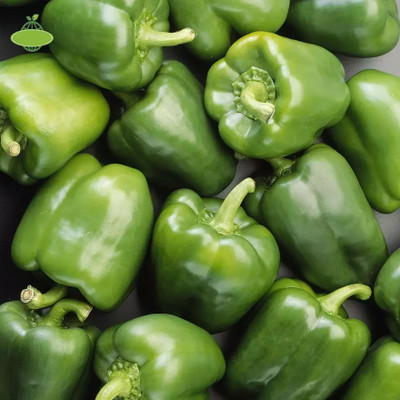 Kirat शिमला मिर्च Capsicum/Shimla Mirch Seed(200 per packet)