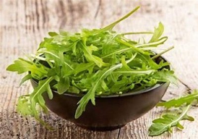 KNESSiN Non-GMO Salad Rocket Arugula Green Easy to Grow-{800 Seeds} Seed(800 per packet)