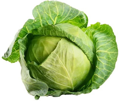 MYLAWN Green Cabbage Seed(50 per packet)