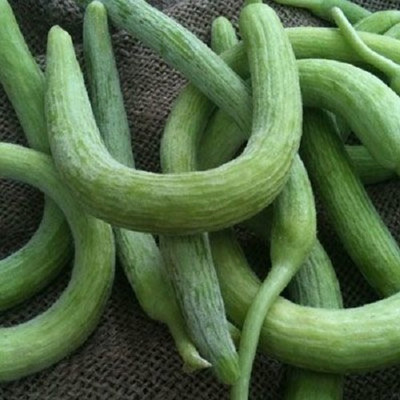 Qualtivate PUAS-3A European Cucumber- Kakri Seeds Seed(200 per packet)