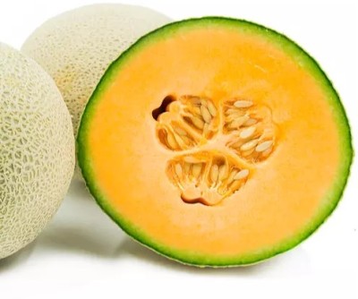 MRCY Sweet Musk Melon Organic Seed(500 per packet)