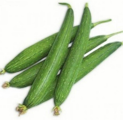Quentova Sponge gourd turai tori-HQ-8Q Seed(50 per packet)