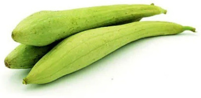 Quentova Sponge Gourd-AJ-5M Seed(75 per packet)
