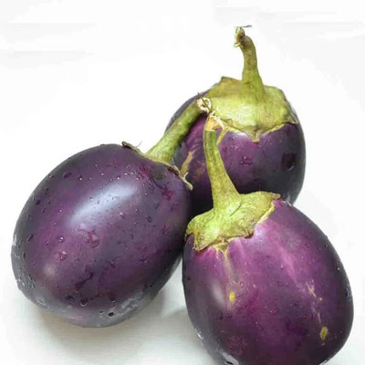 Aywal American Brinjal F1 Hybrid Variety Vegetable Seed(5 g)