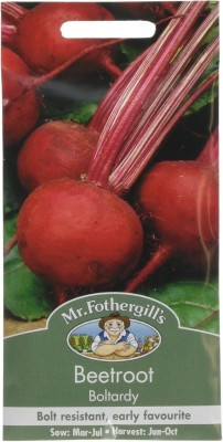 KNESSiN VII-9 Beetroot Boltardy Seed(500 per packet)