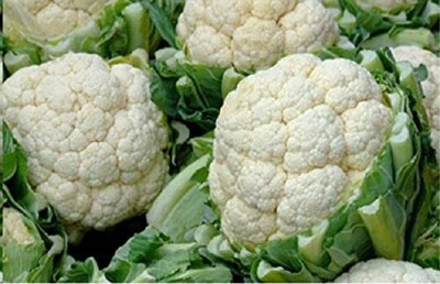 Aywal Cauliflower, Gobi Seed(900 per packet)