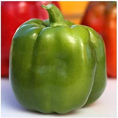 Biosnyg Emerald Giant Capsicum Seeds-200 Seeds/1gm Seed(200 per packet)