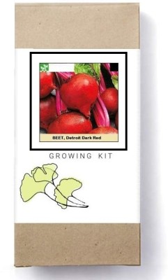 Biosnyg Detroit Dark Red Beetroot Seed(1000 per packet)