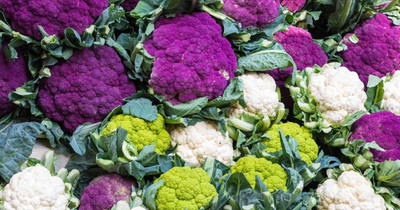 CYBEXIS Amazing Cauliflower Variety2000 Seeds Seed(2000 per packet)