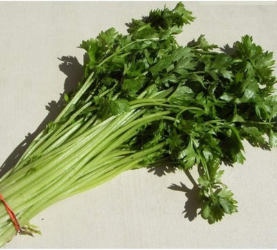 KNESSiN DLH-16 Parsley Seed(200 per packet)