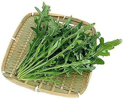 VibeX XLR-57 - Wild Arugula - (2250 Seeds) Seed(2250 per packet)