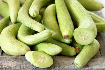 VibeX Armenian Yard-Long Cucumber Seed(1350 per packet)