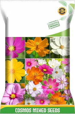 Qualtivate XL-108 Imp.Cosmos Flowers Mixed Variety Seeds Seed(25 per packet)