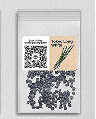 WILLVINE F1 Hybrid Tokyo Long White Scallion Onion-1250 Seeds Seed(1250 per packet)