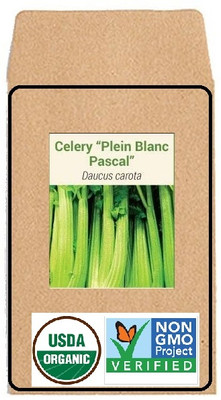 CYBEXIS Hybrid Seeds-Celery700 Seeds Seed(700 per packet)