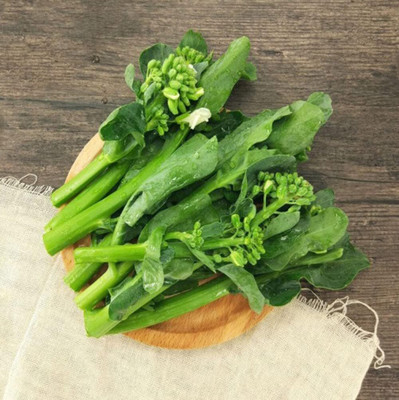 WILLVINE SYN -X Chinese Kale Broccoli Choi [10g] Seed(3000 per packet)